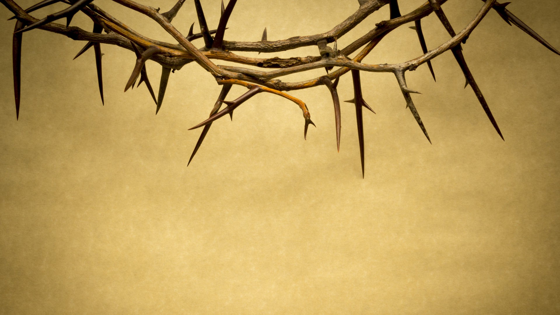 Good Friday Devotion